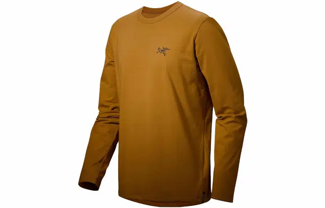 Arcteryx Captive Arc'Word Shirt Ls Men'S LogoT