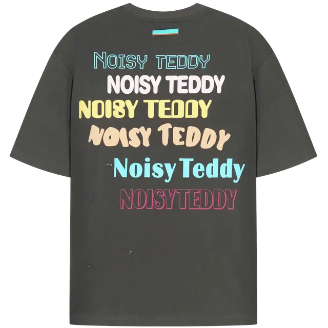 NOISY TEDDY T