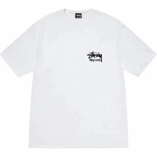 Stussy SS25 logoT