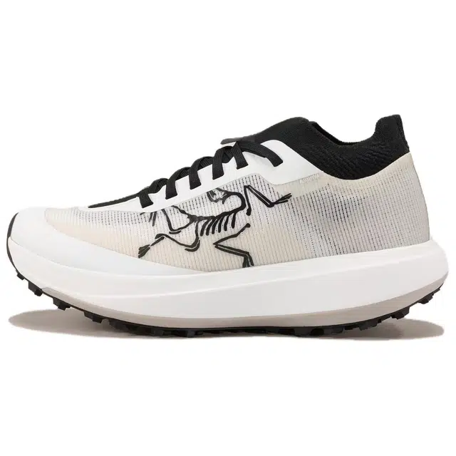 Arcteryx SYLAN PRO