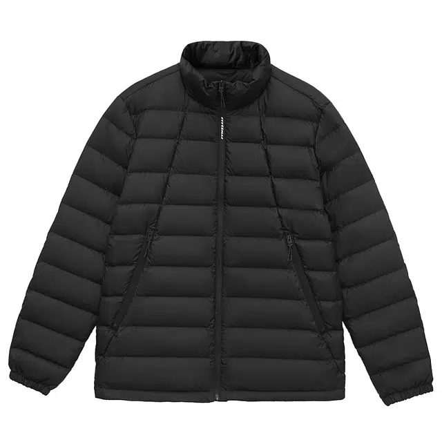 FW23