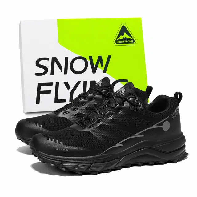 SNOW FLYING