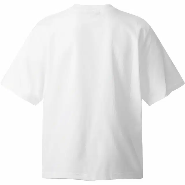 WELTER EXPERIMENT T