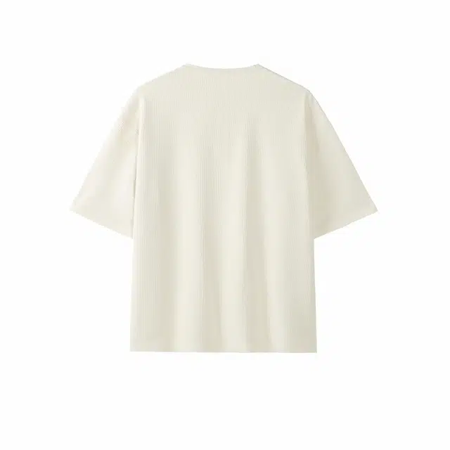 CDISHOU T