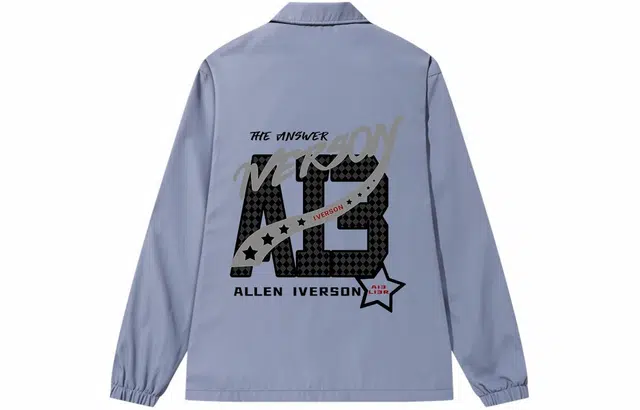 AI3