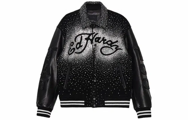 Ed Hardy SS24 logo
