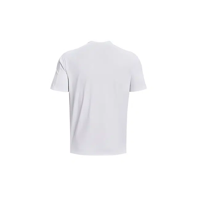 BLUELANDINC T