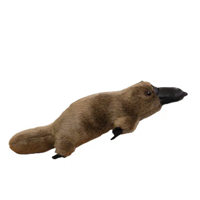MORTEN SOLUM 30cm35cm45cm