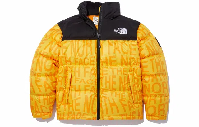 THE NORTH FACE Logo