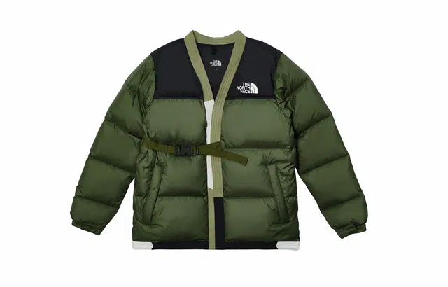 THE NORTH FACE Nuptse 811 logoV