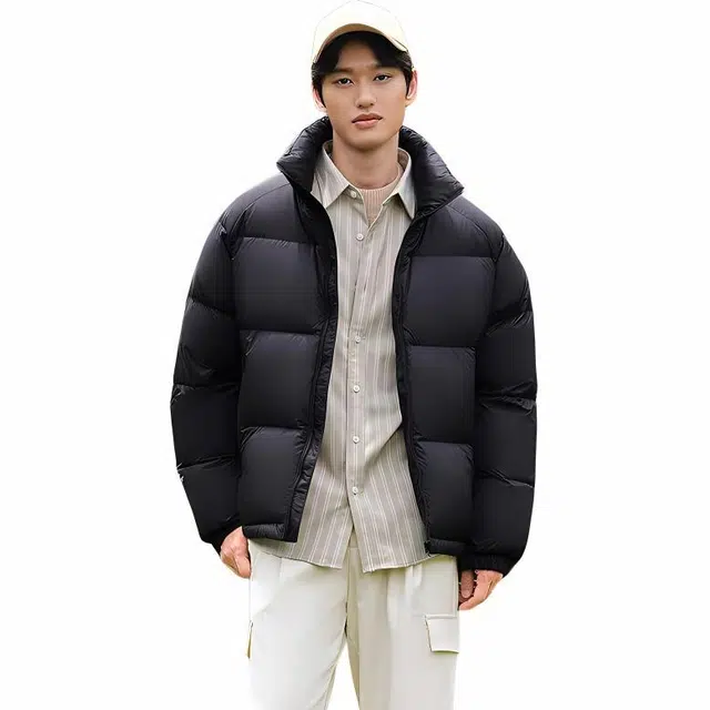 坦博尔 纯色无帽立领拉链短款长袖羽绒服 男款