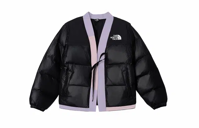 THE NORTH FACE Nuptse 811V