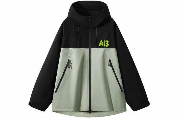 AI3