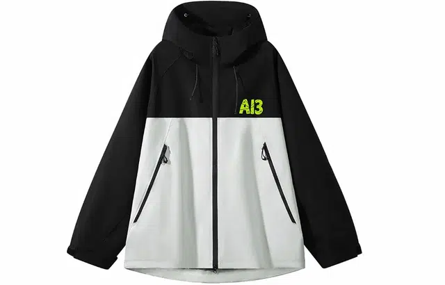 AI3