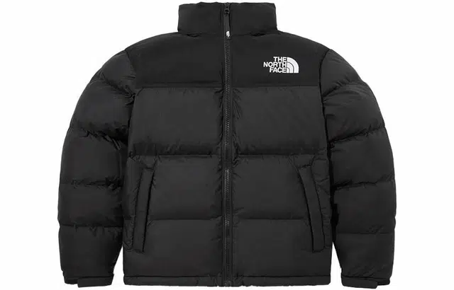 The North Face Novelty Nuptse Black