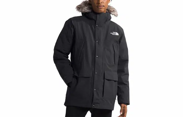 THE NORTH FACE Arctic Logo