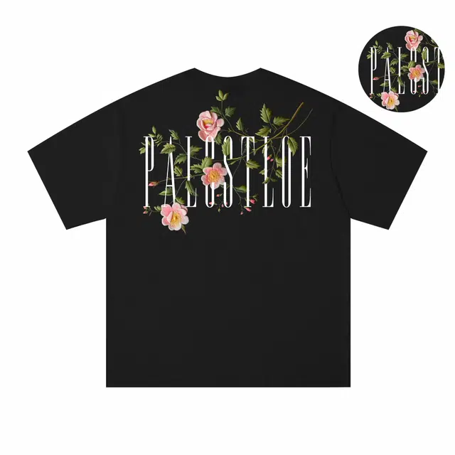 PAUL COSTELLOE T