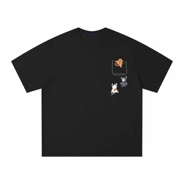 PAUL COSTELLOE T