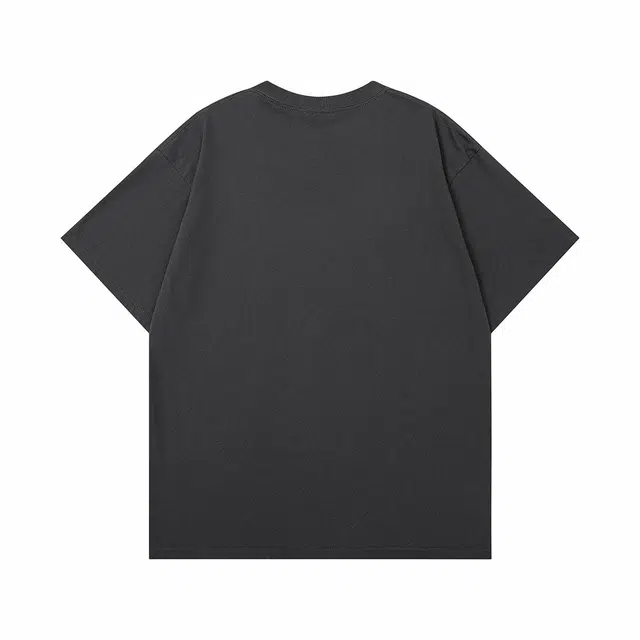 CENPIN T