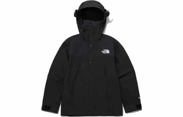 THE NORTH FACE FW23 1990 Gore-tex Mountain jacket logo