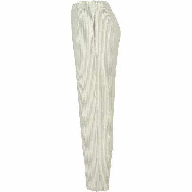 Homme Pliss Issey Miyake