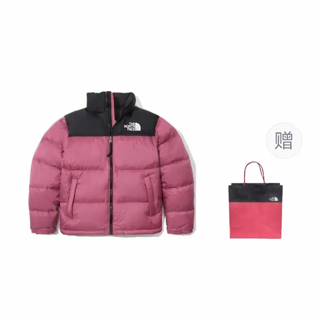 THE NORTH FACE 1996 Logo
