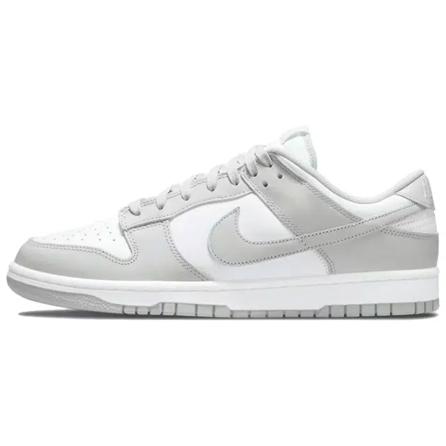 Nike Dunk LTDZ