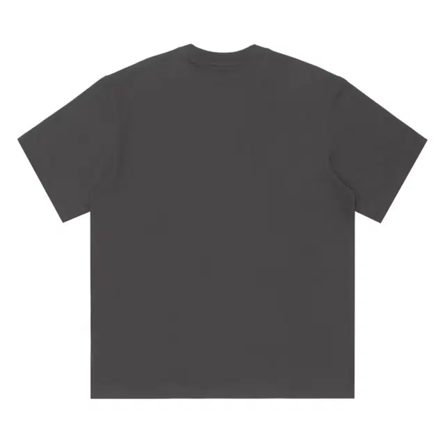 PAINT STAIN T
