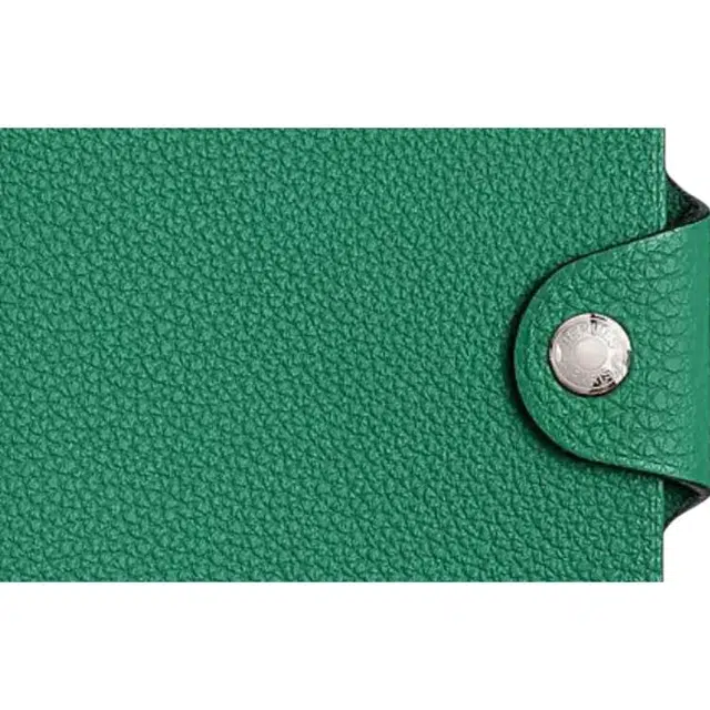 HERMES Ulysse U4 Vert Vertigo