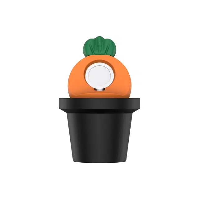 applewatchiwatchs10DIY