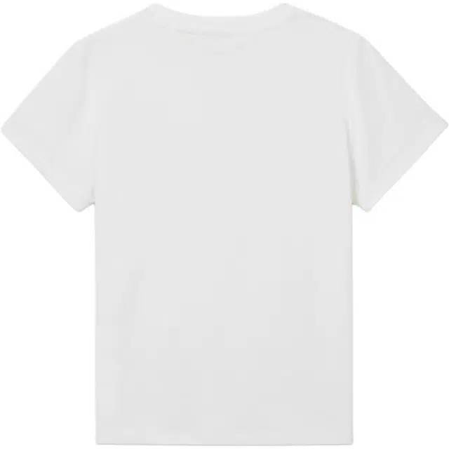 levis logo T