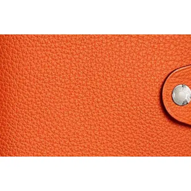 HERMES Ulysse Togo 0X