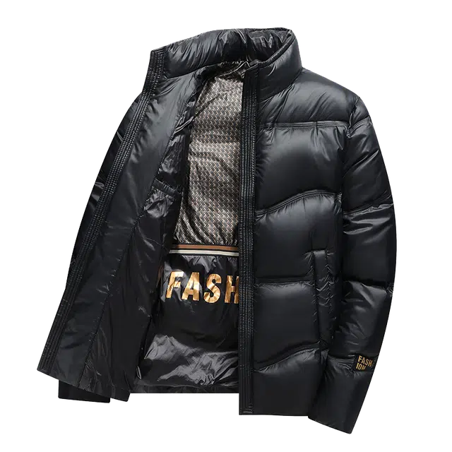 雅鹿 立领时尚休闲保暖羽绒服 男款 黑色