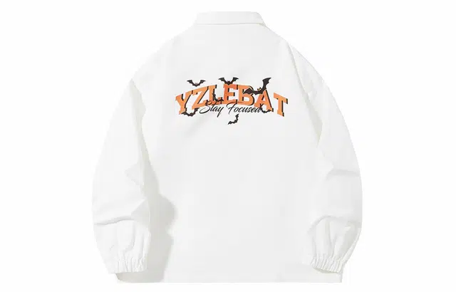 YZ Logo