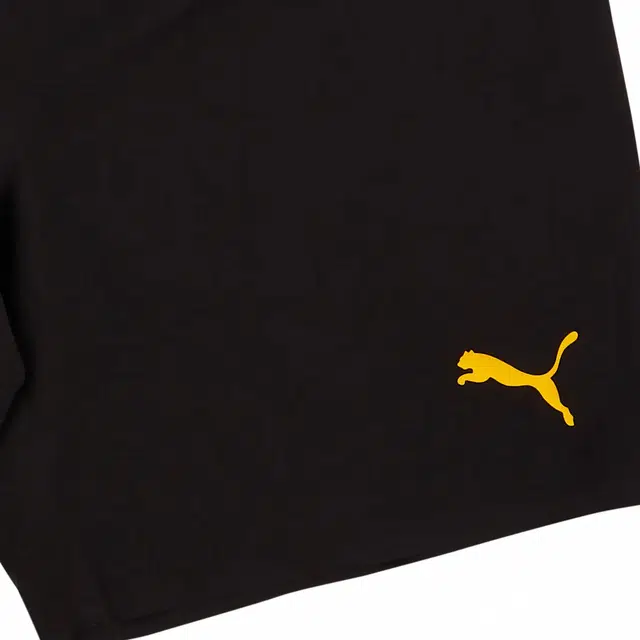 PUMA logo 2022-23