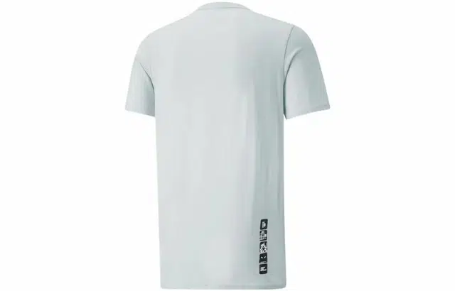 Puma T