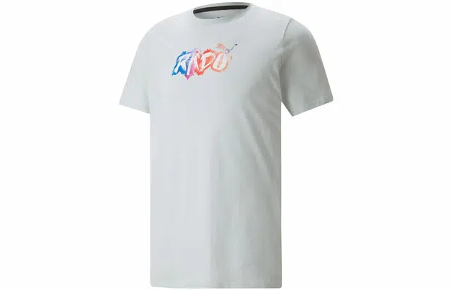 Puma T