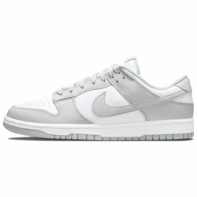 Nike Dunk LTDZ