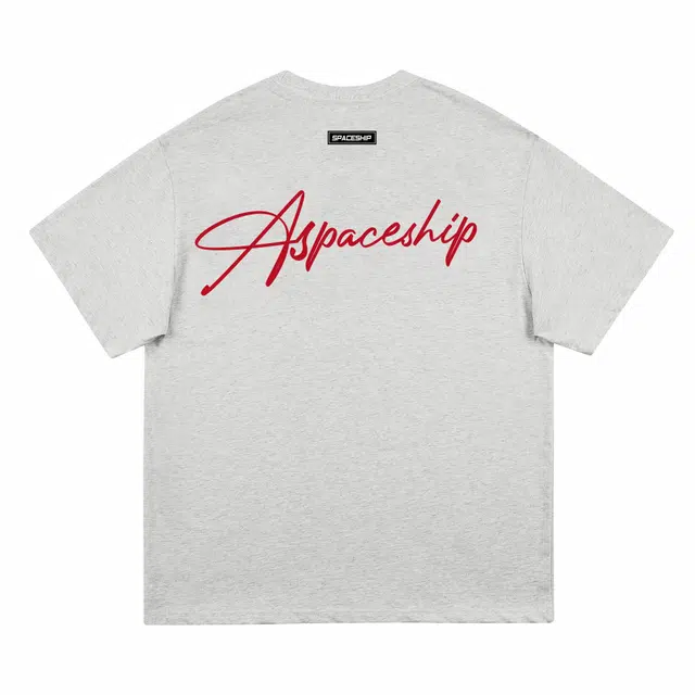 42SPACESHIP T