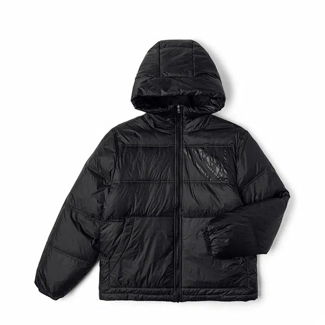 Lee FW24
