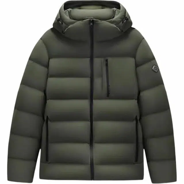 DEGAIA FW24