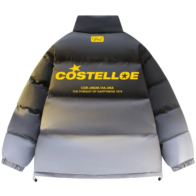 PAUL COSTELLOE logo