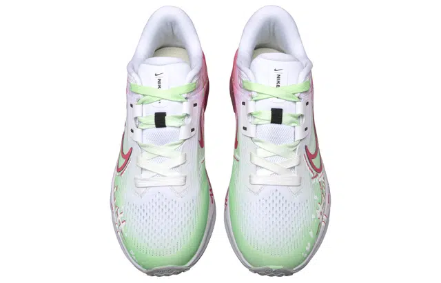 Nike Quest 6