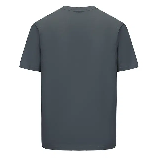 PONY T