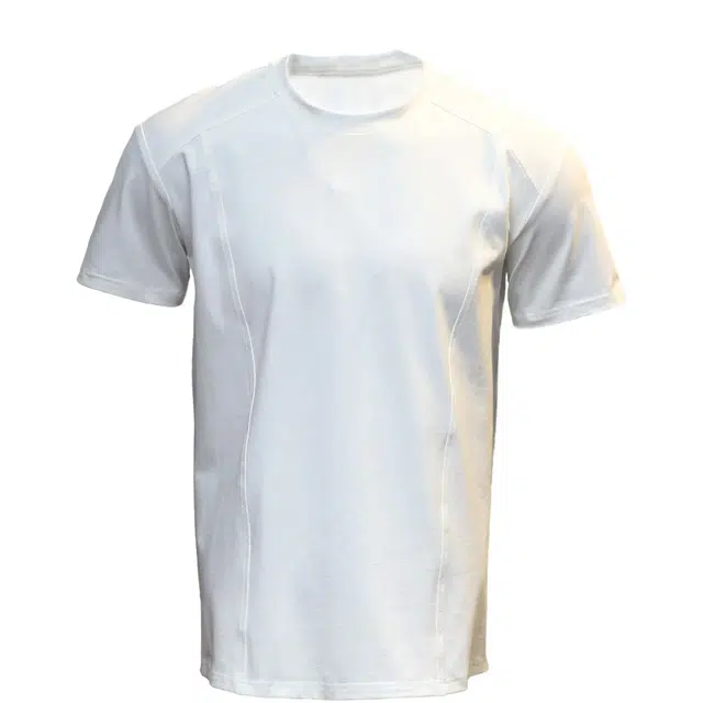 BLUELANDINC T
