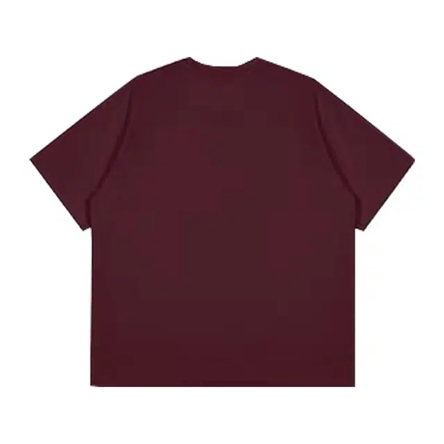 PAINT STAIN T