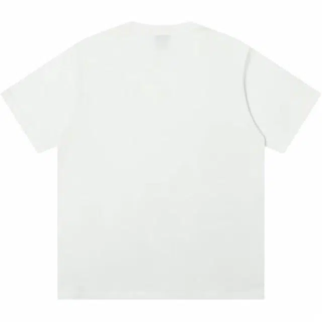 WELTER EXPERIMENT T