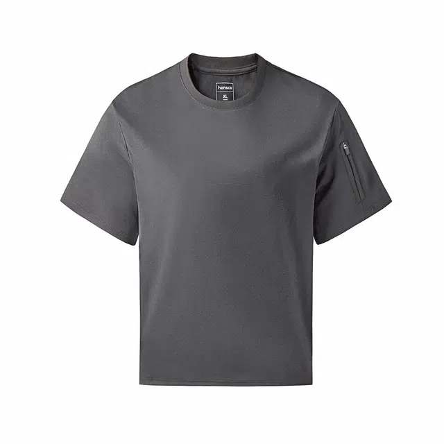 Hansca T