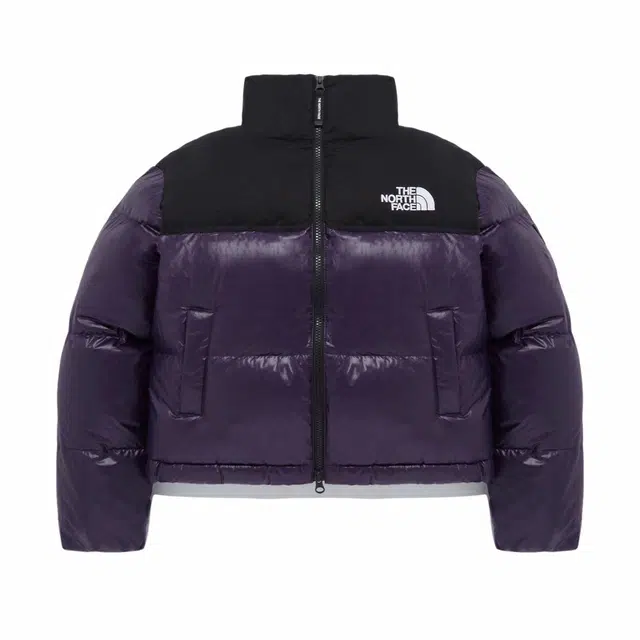 THE NORTH FACE Nuptse NOVELTY RDS DOWN