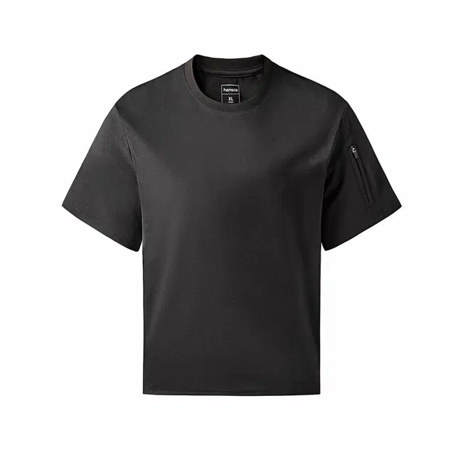 Hansca T